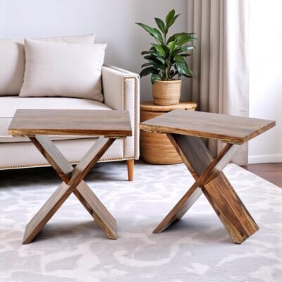 Ikiriya Darcy Sheesham Wood Contemporary Rectangle Set of 2 Tea Table / Side Tables in Teak Finish